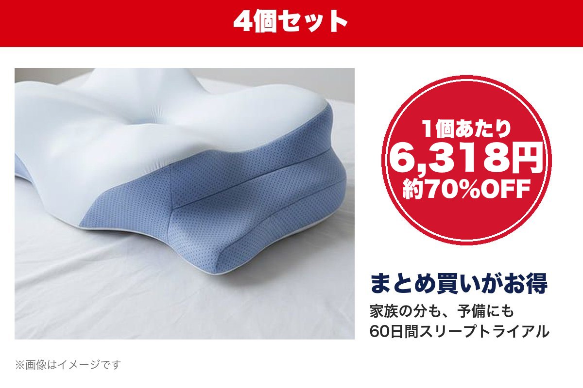 Derila ERGO 4個セット 1個あたり6,318円